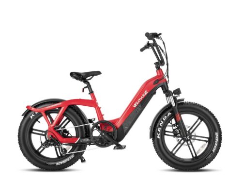 Velowave Pony Ebike