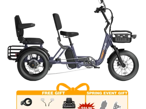 Meet One Pair Electric Trike with Passenger Seat