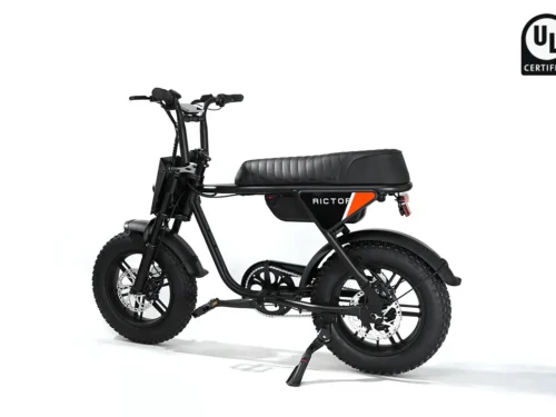 Flexx Ebike