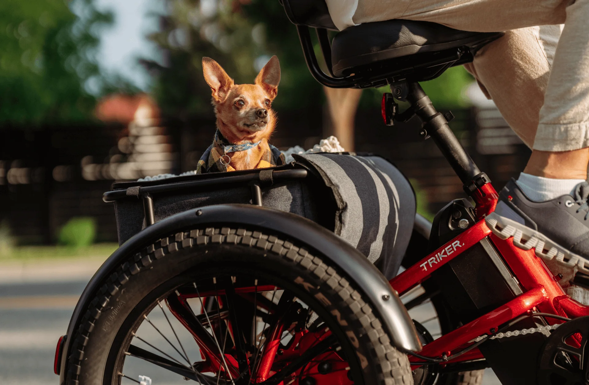 Velotric Triker Electric Tricycle - Image 6
